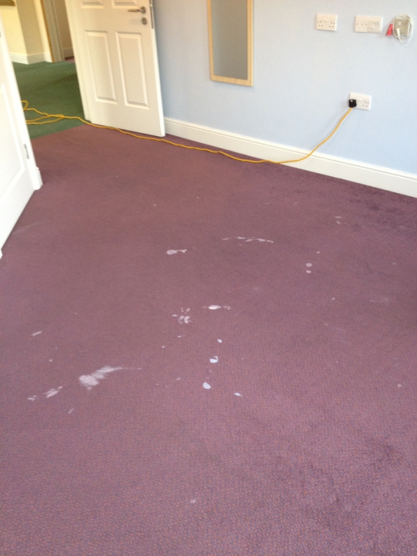 dirty purple carpet